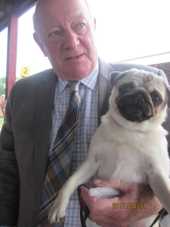 Dr. David Johnson, DVM, owner of Middleboro Animal Clinic, holding a pug